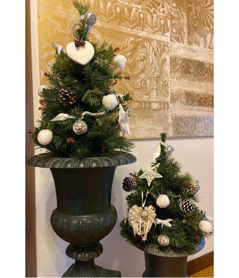 Albergo Garni Cavento Pinzolo Exteriér fotografie
